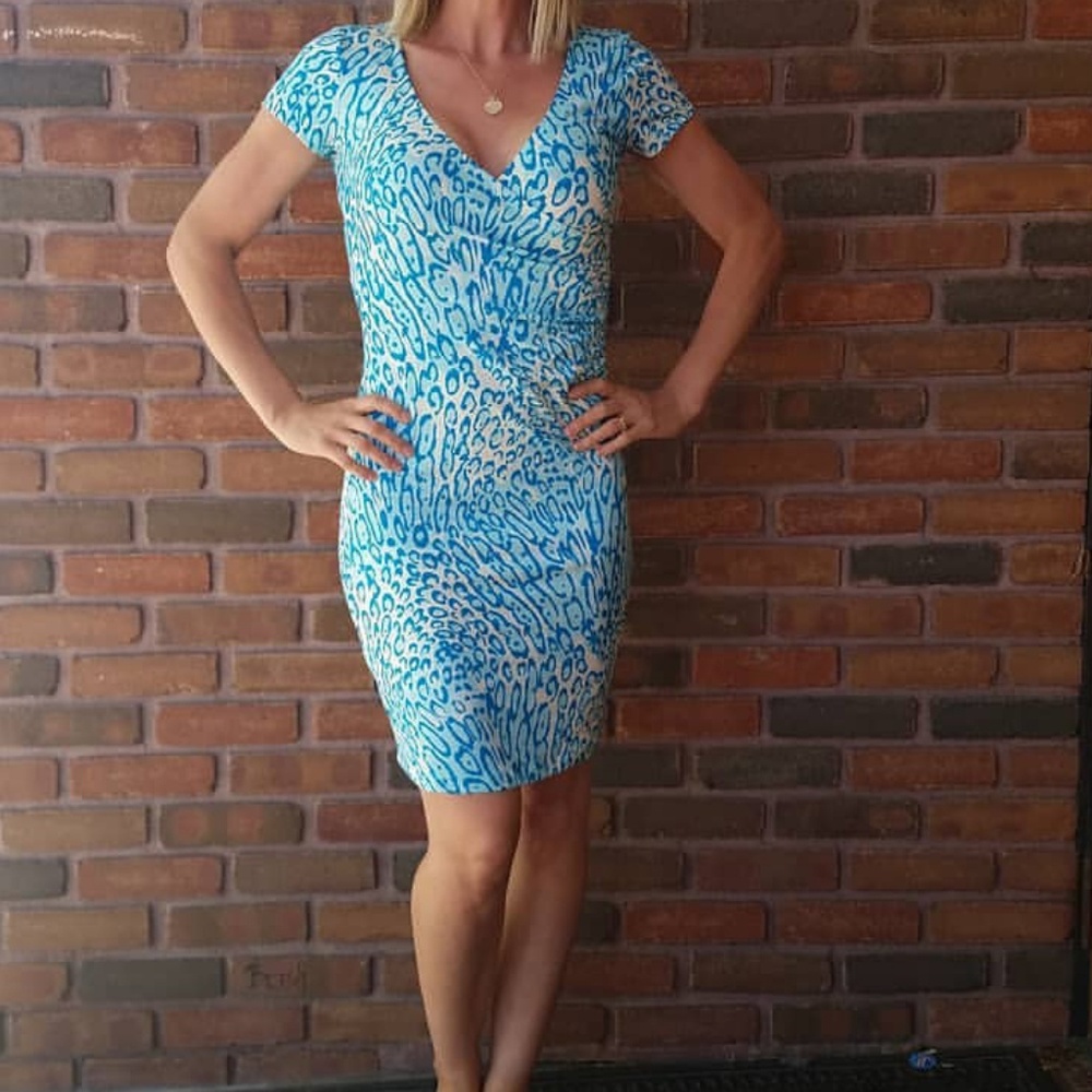 NWT Julie Brown Cheetah Dress